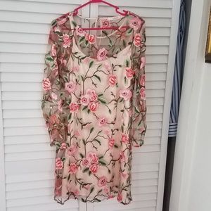 Gorgeous embroidered dress.